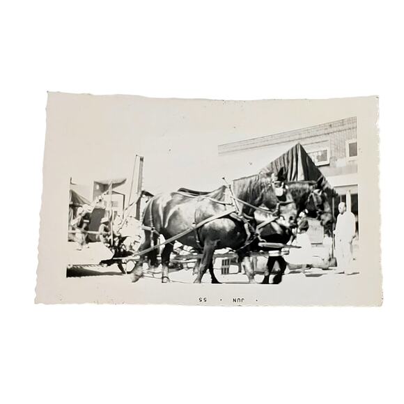 Vtg B&W Original Photo 1955 Found Horses Working Pulling Carriage Snapshot - Picture 1 of 4